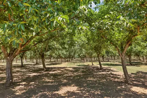 Other - 19035 Monte Vista Dr, Linden, CA 95236 photo 6 of 6
