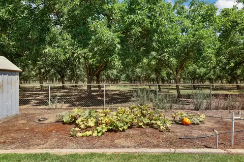 Exterior - 19035 Monte Vista Dr, Linden, CA 95236 photo 10 of 11