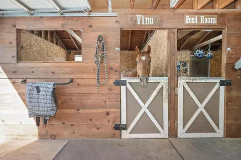 5249 Abbott Rd, Penryn, CA 95663 photo 66