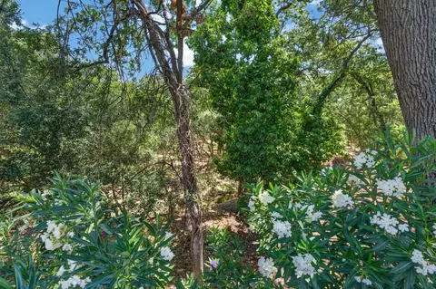 5895 Bryce Way, Rocklin, CA 95677 photo 32