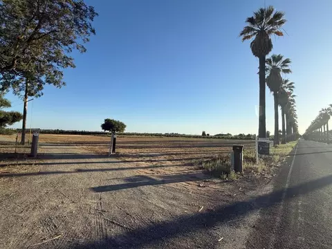 4000 E Acampo Rd, Acampo, CA 95220 photo 5