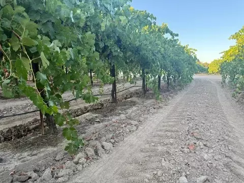 4000 E Acampo Rd, Acampo, CA 95220 photo 33