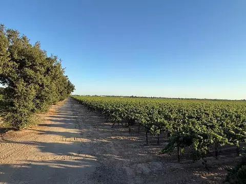 4000 E Acampo Rd, Acampo, CA 95220 photo 26