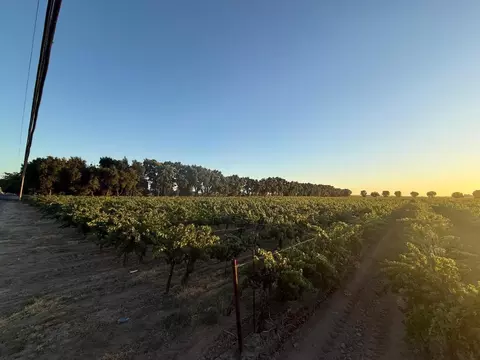 4000 E Acampo Rd, Acampo, CA 95220 photo 30