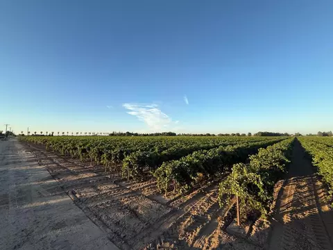 4000 E Acampo Rd, Acampo, CA 95220 photo 29