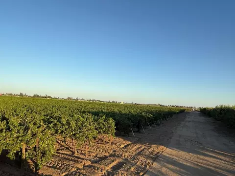 4000 E Acampo Rd, Acampo, CA 95220 photo 17
