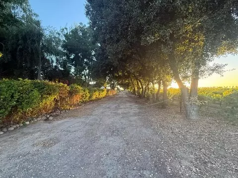4000 E Acampo Rd, Acampo, CA 95220 photo 6