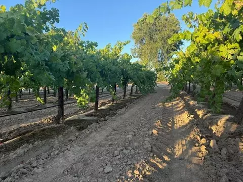 4000 E Acampo Rd, Acampo, CA 95220 photo 32