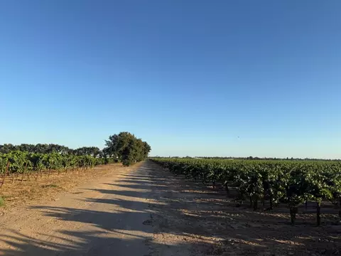 4000 E Acampo Rd, Acampo, CA 95220 photo 24