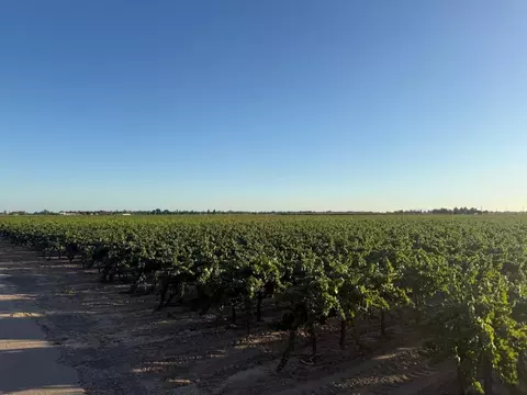 4000 E Acampo Rd, Acampo, CA 95220 photo 34