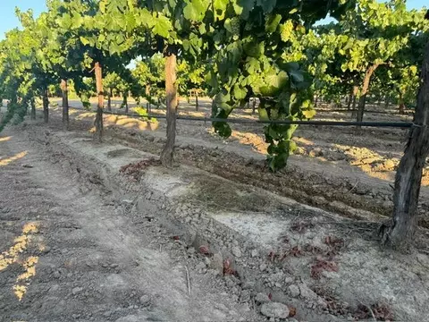 4000 E Acampo Rd, Acampo, CA 95220 photo 27