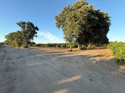 4000 E Acampo Rd, Acampo, CA 95220 photo 15