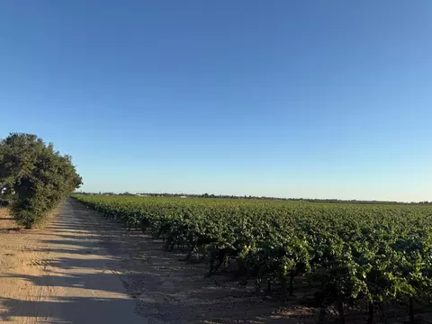 4000 E Acampo Rd, Acampo, CA 95220 photo 25