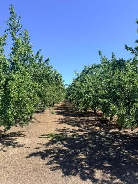 0 Service Rd, Ceres, CA 95307 photo 1