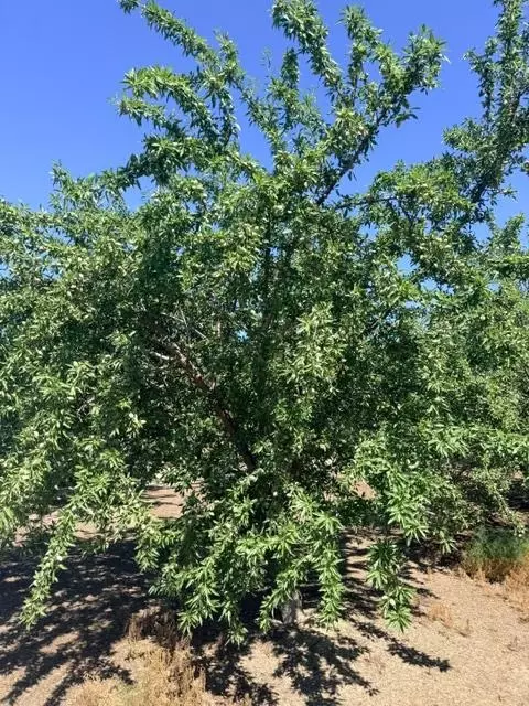 0 Service Rd, Ceres, CA 95307 photo 3