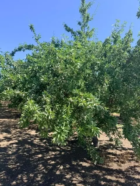 0 Service Rd, Ceres, CA 95307 photo 2