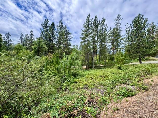 0 Grand View Way, Colfax, CA 95713