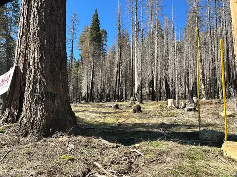 7177 Sierra Pines Rd, Twin Bridges, CA 95735