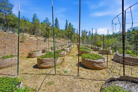 17468 Scopar Rd, Grass Valley, CA 95949 photo 29