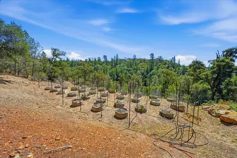 17468 Scopar Rd, Grass Valley, CA 95949 photo 31