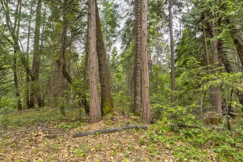 0 Foresthill Rd, Foresthill, CA 95631 photo 6