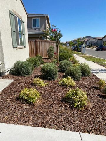 442 Olivadi Way, Sacramento, CA 95834