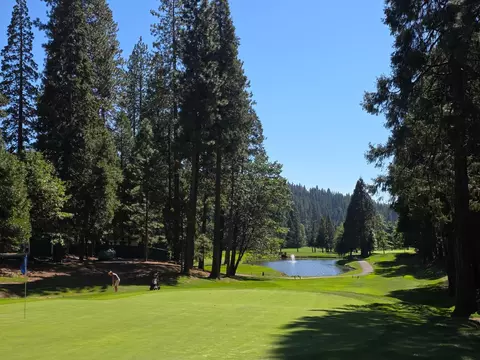 845 Marilyn Way, Arnold, CA 95223 photo 38
