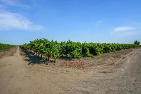 9255 E Handel Rd, Lodi, CA 95240 photo 16