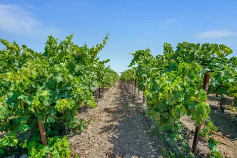 9255 E Handel Rd, Lodi, CA 95240 photo 14