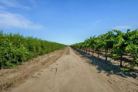 9255 E Handel Rd, Lodi, CA 95240 photo 18