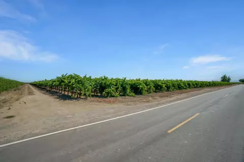 9255 E Handel Rd, Lodi, CA 95240 photo 15