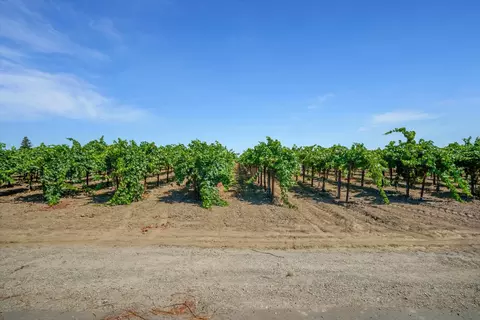 9255 E Handel Rd, Lodi, CA 95240 photo 12