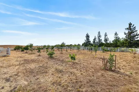 Exterior - 9899 Trailhead Ct, Wilton, CA 95693 photo 16 of 17