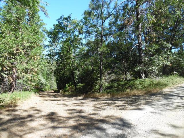 5301 Lone Star Rd, Wilseyville, CA 95257