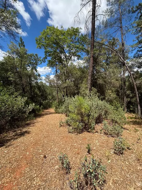 10273 Holcomb Dr, Grass Valley, CA 95949 photo 30