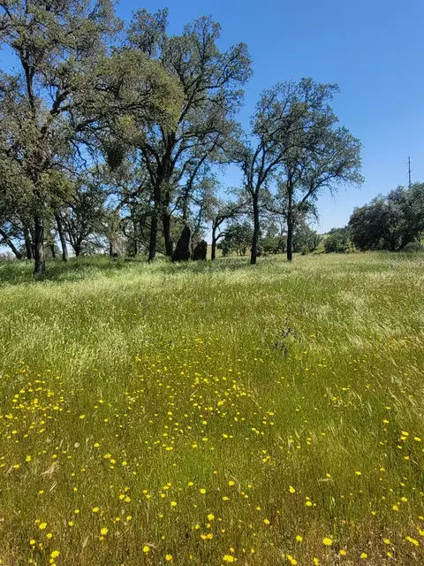 12550 Hogan Dm, Farmington, CA 95230 photo 46