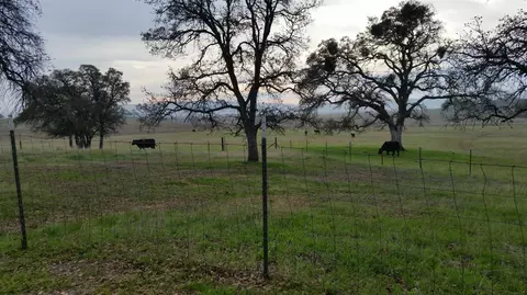 12550 Hogan Dm, Farmington, CA 95230 photo 74