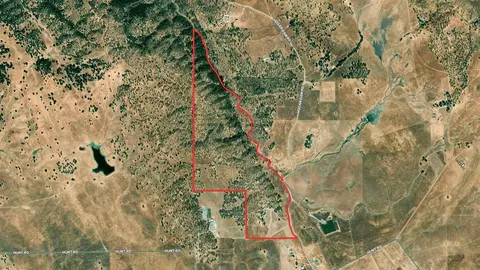 12550 Hogan Dm, Farmington, CA 95230 photo 65