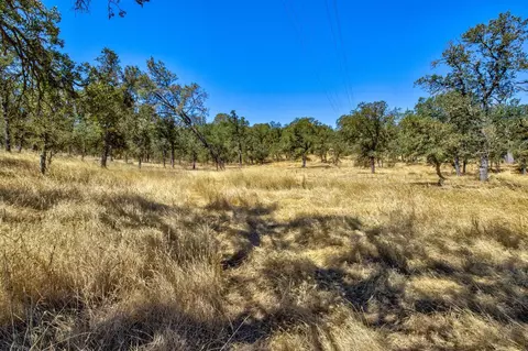 12550 Hogan Dm, Farmington, CA 95230 photo 54