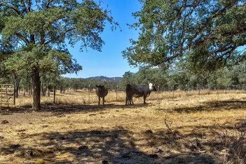 12550 Hogan Dm, Farmington, CA 95230 photo 59