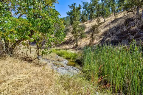 12550 Hogan Dm, Farmington, CA 95230 photo 55