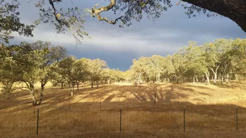 12550 Hogan Dm, Farmington, CA 95230 photo 53