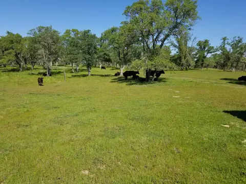12550 Hogan Dm, Farmington, CA 95230 photo 69
