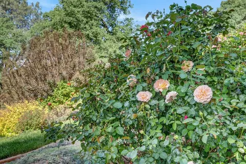 Other - 1760 Red Fox Rd, Placerville, CA 95667 photo 14 of 17