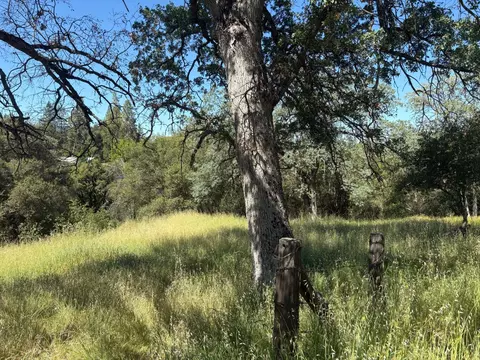 0 Sheep Ranch Rd, Sheep Ranch, CA 95246 photo 3