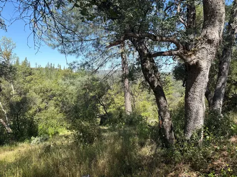 0 Sheep Ranch Rd, Sheep Ranch, CA 95246 photo 11