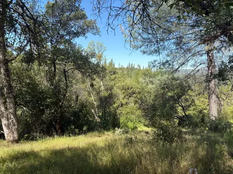 0 Sheep Ranch Rd, Sheep Ranch, CA 95246 photo 10