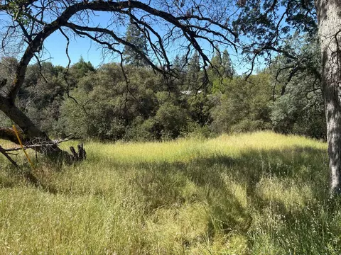 0 Sheep Ranch Rd, Sheep Ranch, CA 95246 photo 2