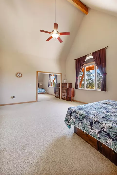 717 Swanson Ln, Colfax, CA 95713 photo 17