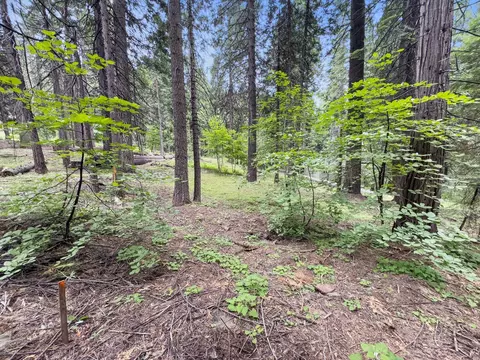 4278 Ottawa Dr, Arnold, CA 95223 photo 20